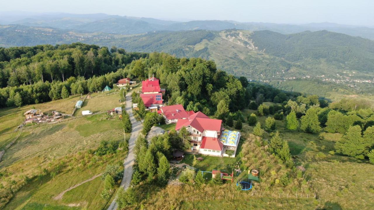 Pensiune Runcu Stone Εξωτερικό φωτογραφία